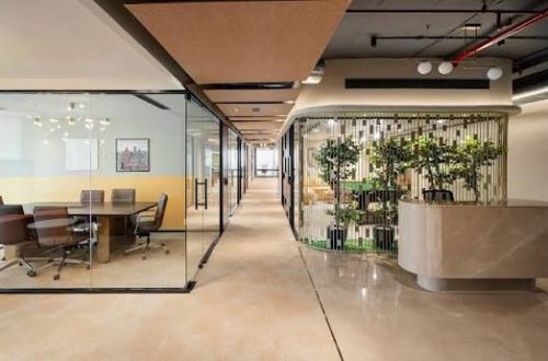 WhatsApp Image 2025-12-25 at 11.36.49 AM (1)