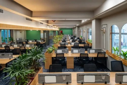 WhatsApp Image 2025-12-25 at 11.53.09 AM